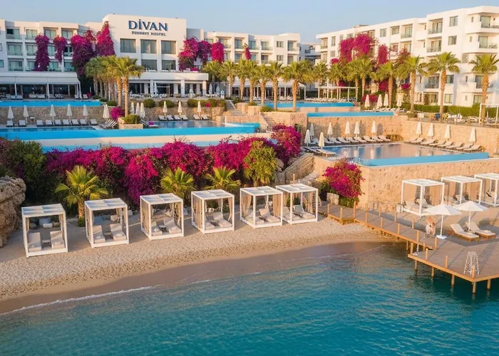 Ξενοδοχείο The Divan Ant