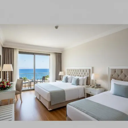 The Divan Ant 5*