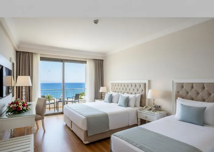 The Divan Ant 5*