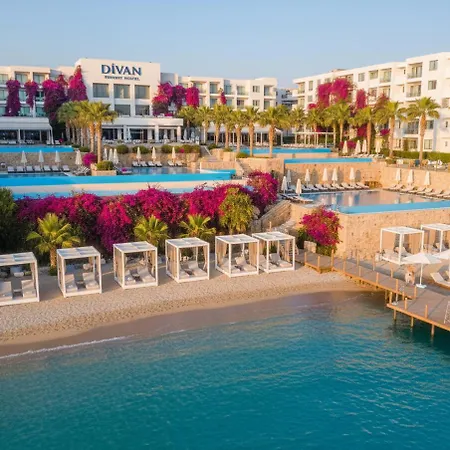 فندق The Divan Ant