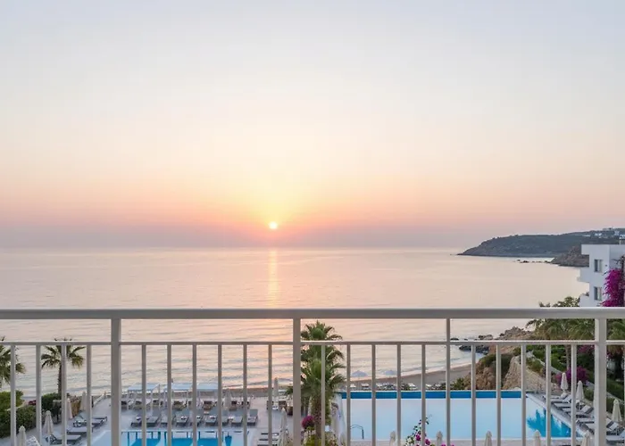 The Divan Ant אנטליה